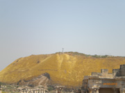 Arbre sur montagne en Galilee 2 (109)