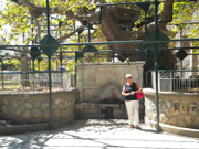 KOS 2010 080